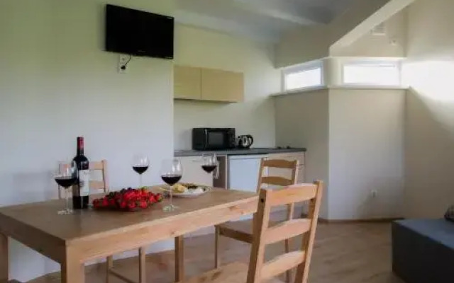Apartamentai Upė